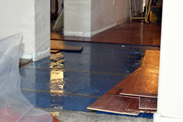 Professional Sewage Cleanup technician working in Halltown, MO