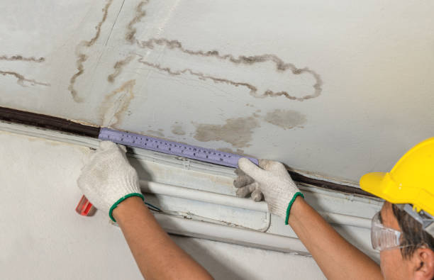 Reliable Sewage Cleanup contractor in Halltown, MO by Water Damage Irwin